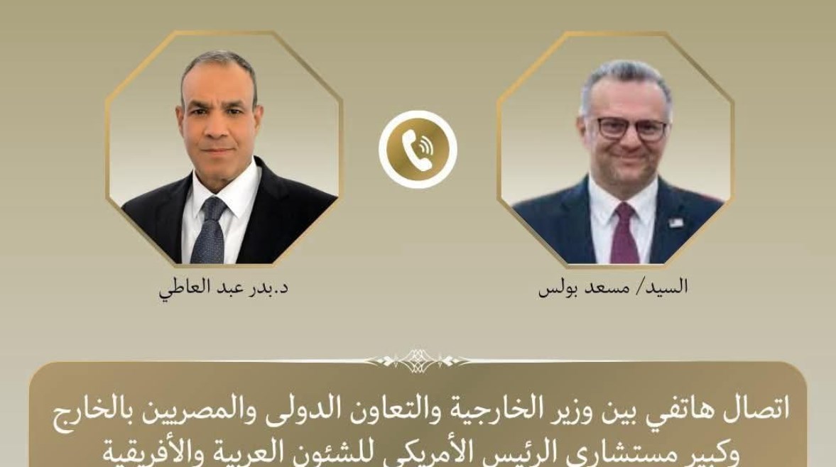 الدكتور بدر عبدالعاطي وزير الخارجية