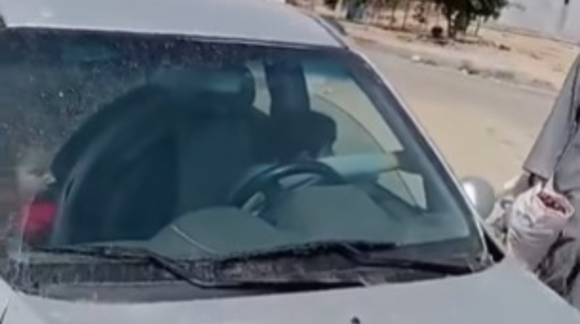 لقطة من فيديو طفل يقود سيارة وبجانبه شقيقته