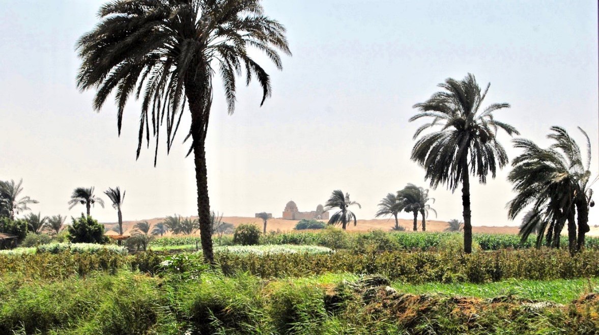 الفيوم - أرشيفية