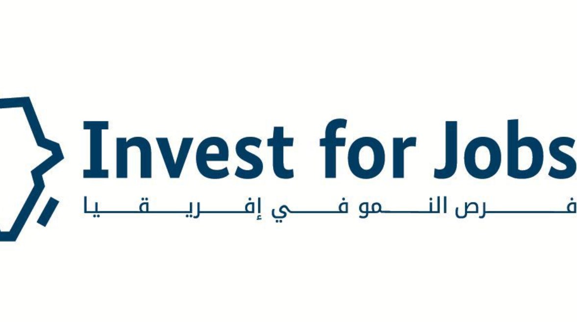 الاستثمار من أجل التوظيف