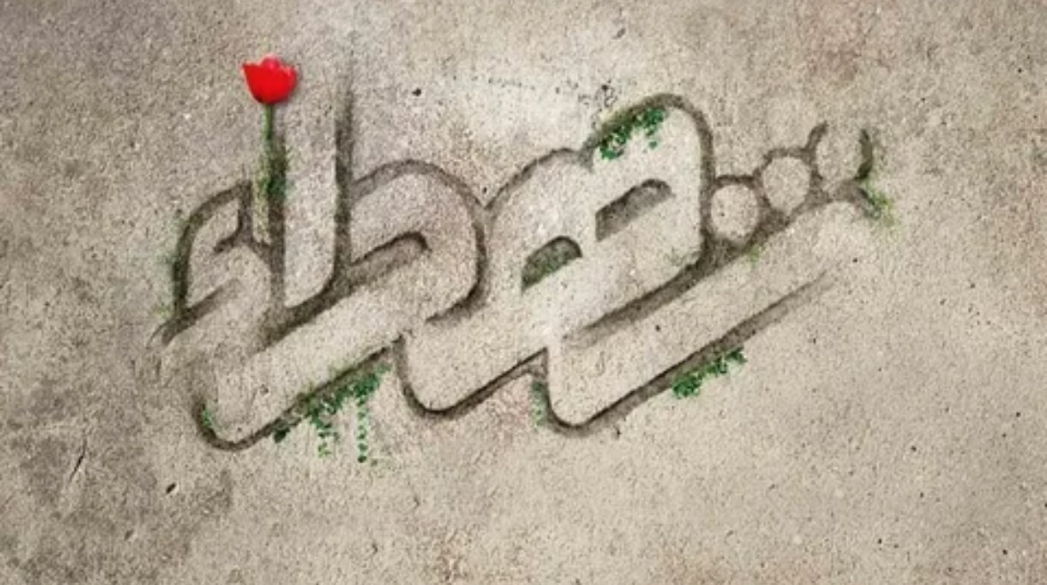 حكم عن الشهداء