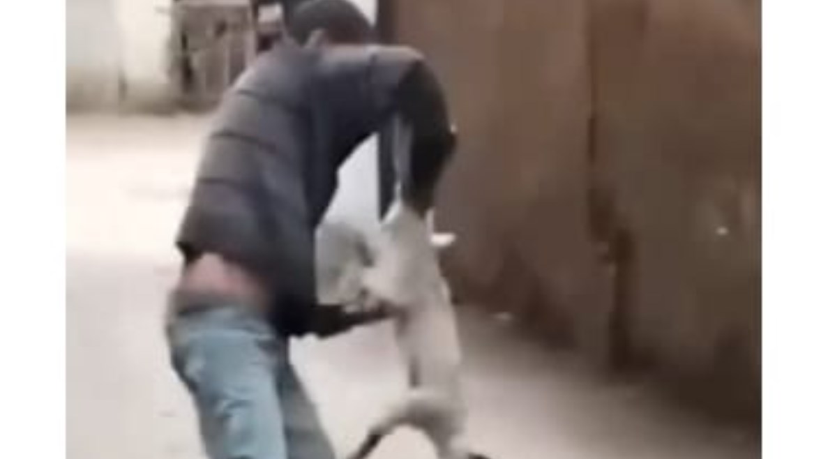 جانب من الواقعة 