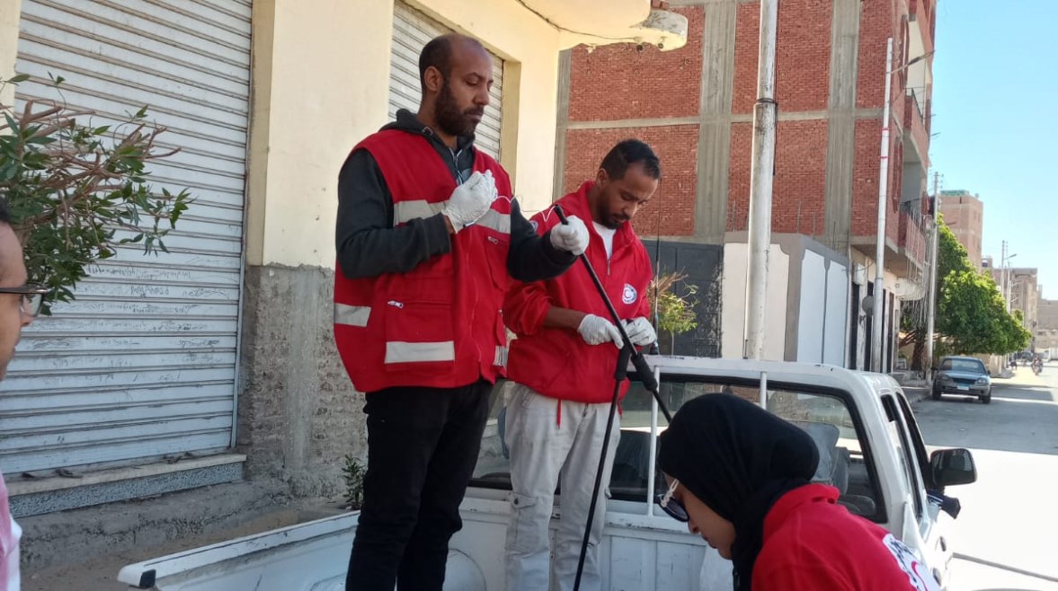 حملات الطب البيطري لتحصين الكلاب الضالة