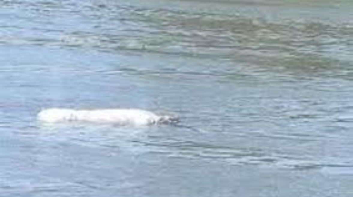 صورة - تعبيرية 