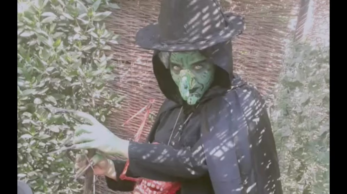 صورة الساحرة الشريرة 