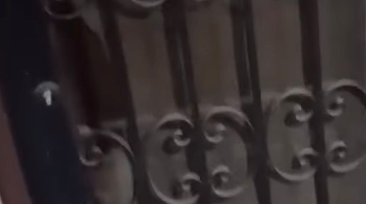 لقطة من الفيديو 