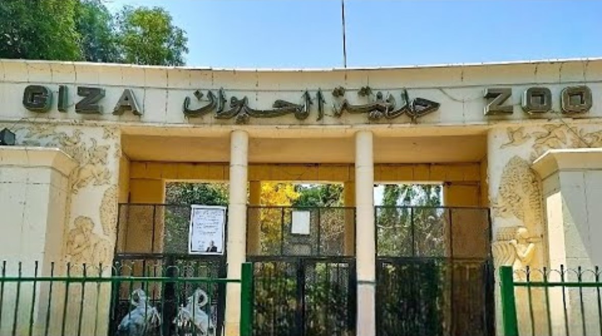 موعد افتتاح حديقة الحيوان في مصر 2026