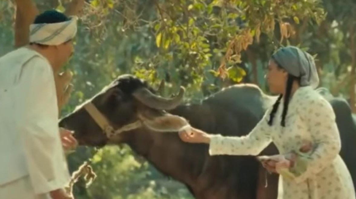 عائشة وعبد العزيز في مسلسل النص التاني 