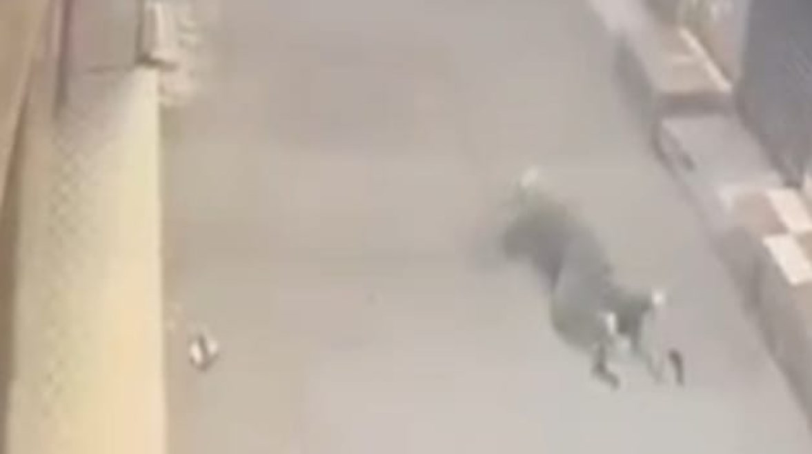 صورة من الواقعة