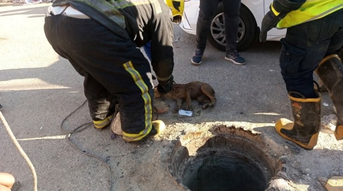 جانب من الإنقاذ