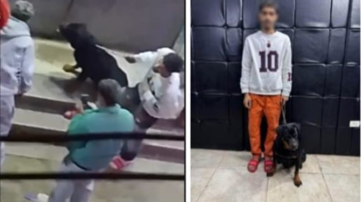 المتهم وجزء من الواقعة