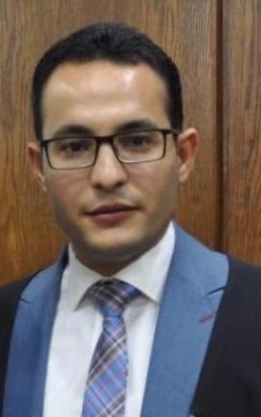 إبراهيم سيف منشاوي- أستاذ القانون الدولي