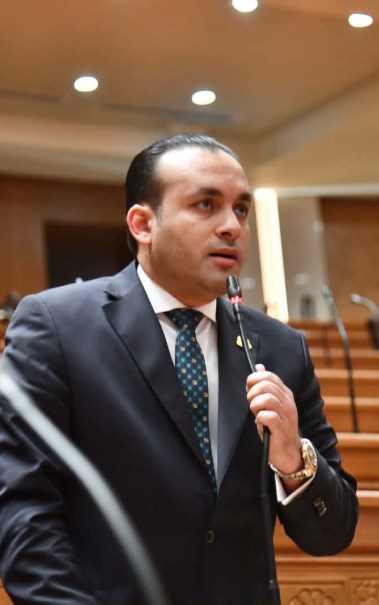 عضو مجلس النواب، عمرو فهمي