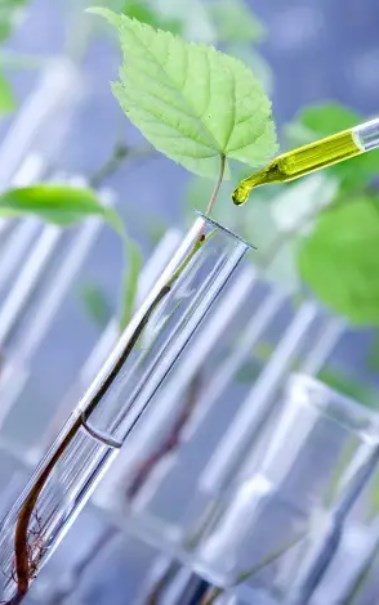 استخدام الهرمونات الزراعية - أرشيفية