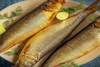 سمكة الرنجة