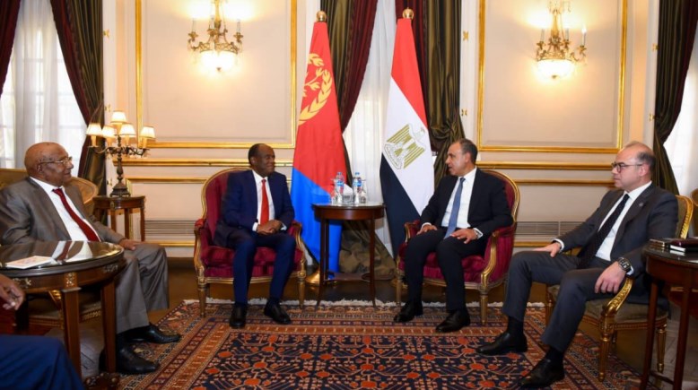  وزير الخارجية الدكتور بدر عبد العاطي