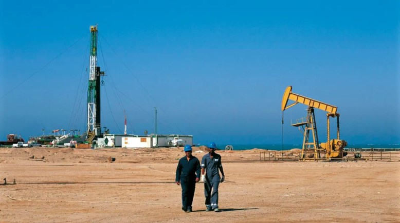 شركة بتروجلف في مصر