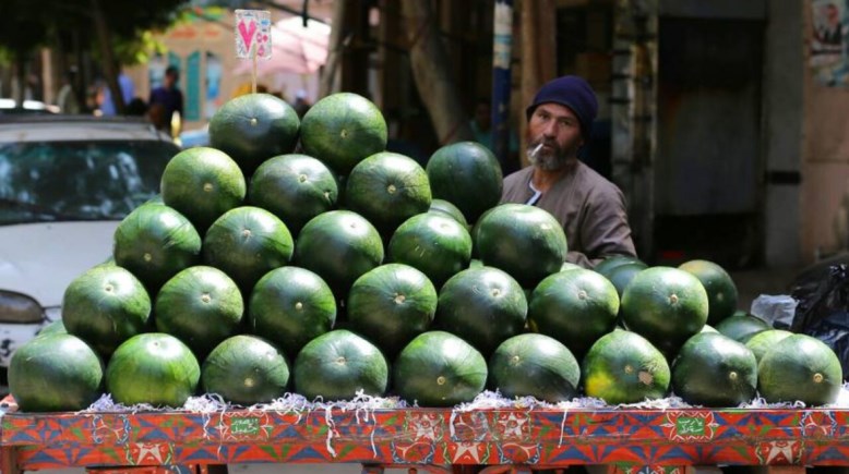البطيخ في مصر