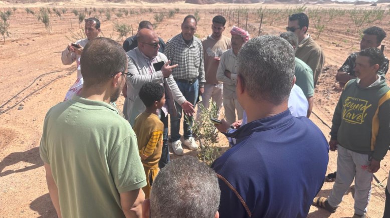 تجمع "وادي سعال" بمنطقة سانت كاترين