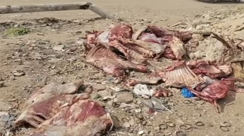 جانب من فيديو الحيوانات المسلوخة بالعبور 