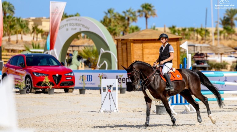 كأس مصر للفروسية 2026