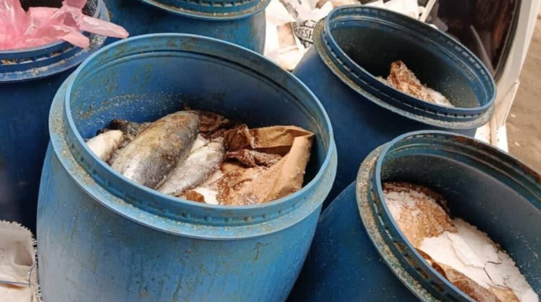 ضبط فسيخ وأسماك فاسدة بملوي