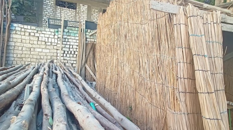 «الكفور» بمطاي.. مملكة "السباتة" وخشب الجزورين بالمنيا