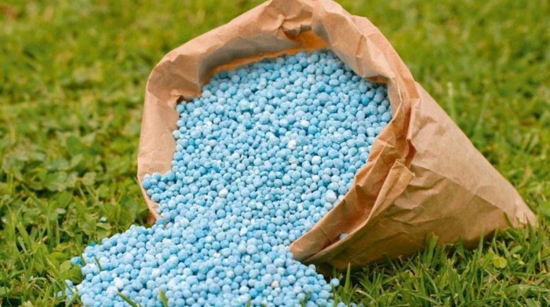 أزمة الأسمدة وارتفاع أسعارها