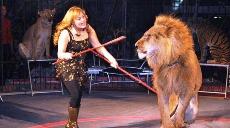 السيرك القومي