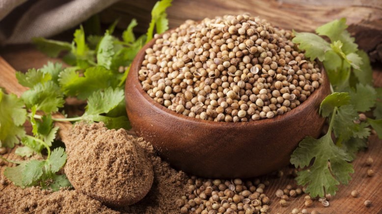 كزبرة ناشفة