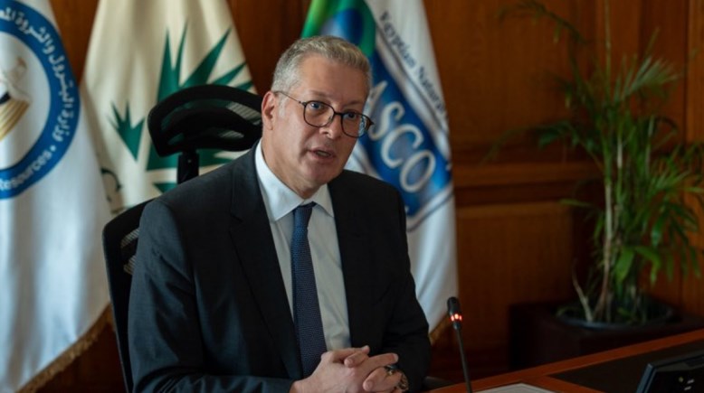 وزير البترول والثروة المعدنية، كريم بدوي