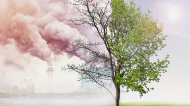 تعبير عن تلوث البيئة بالعناصر للطلاب 2026