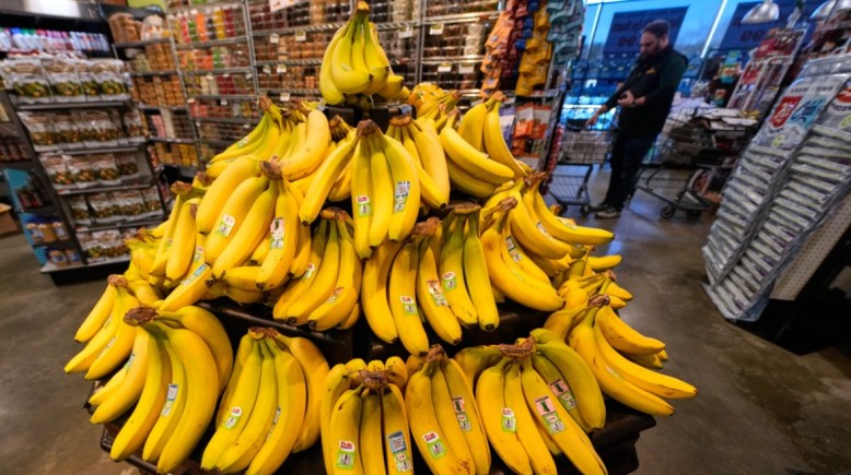 الموز في جزر أوركيني