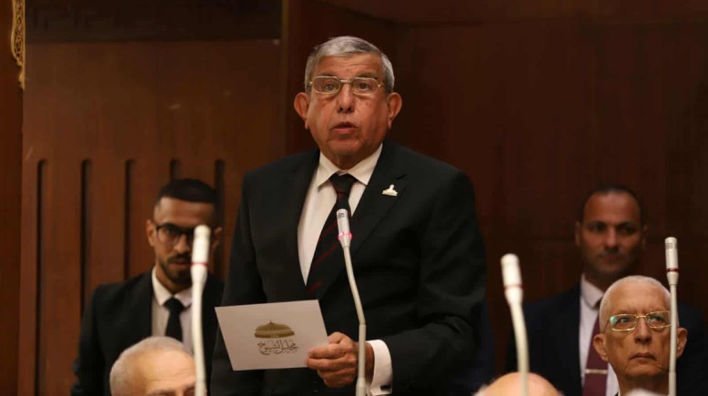 عضو مجلس الشيوخ، علاء عبد النبي