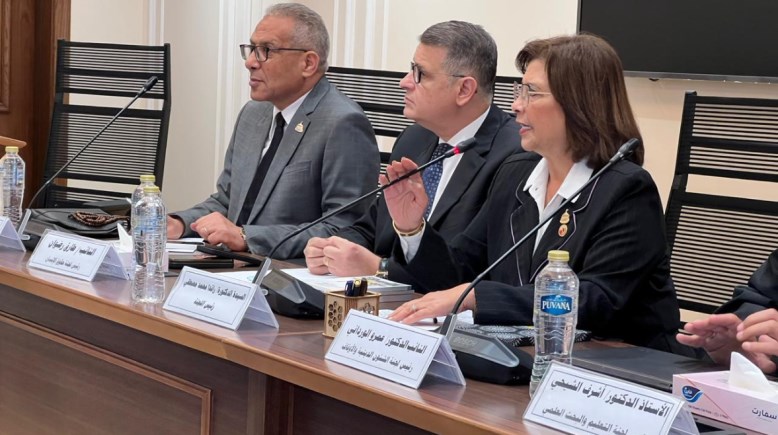 لجنة التضامن الاجتماعي والأسرة والأشخاص ذوي الإعاقة بمجلس النواب