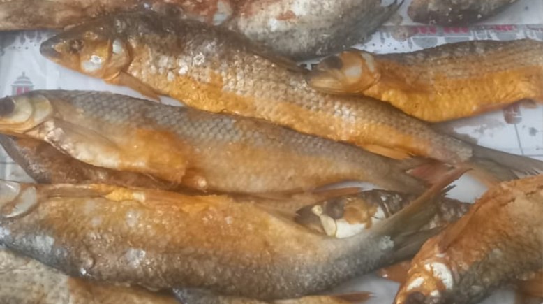 فسيخ فاسد بقنا 