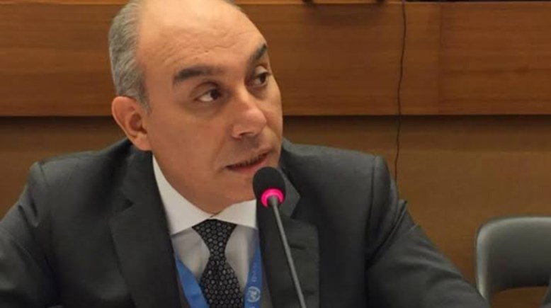 السفير علاء يوسف