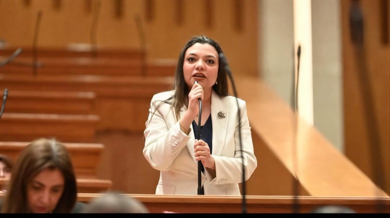 عضو مجلس النواب، مي كرم جبر