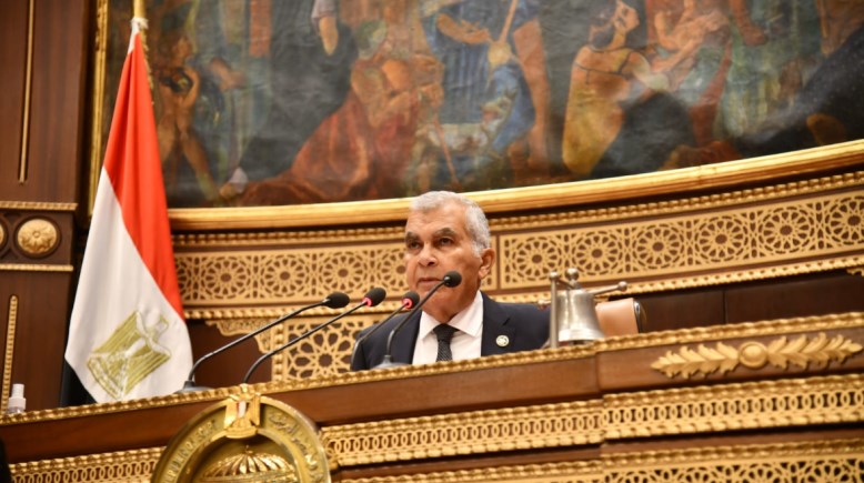 رئيس مجلس الشيوخ، المستشار عصام فريد