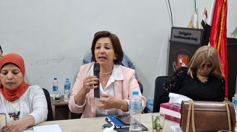 عضو مجلس النواب مها عبدالناصر