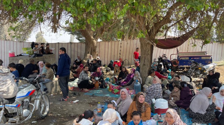 صورة من داخل حديقه الحيوان 