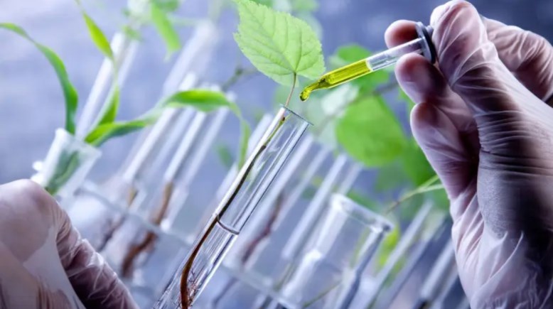 استخدام الهرمونات الزراعية - أرشيفية