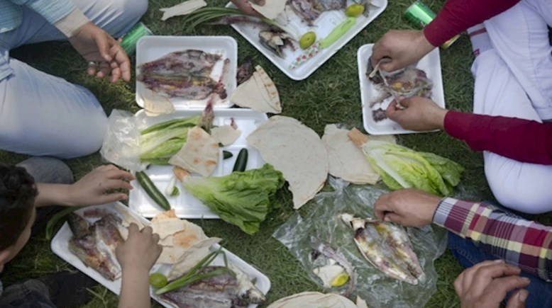 أكلة الفسيخ والرنجة 