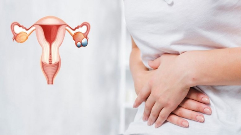  الدورة الشهرية 