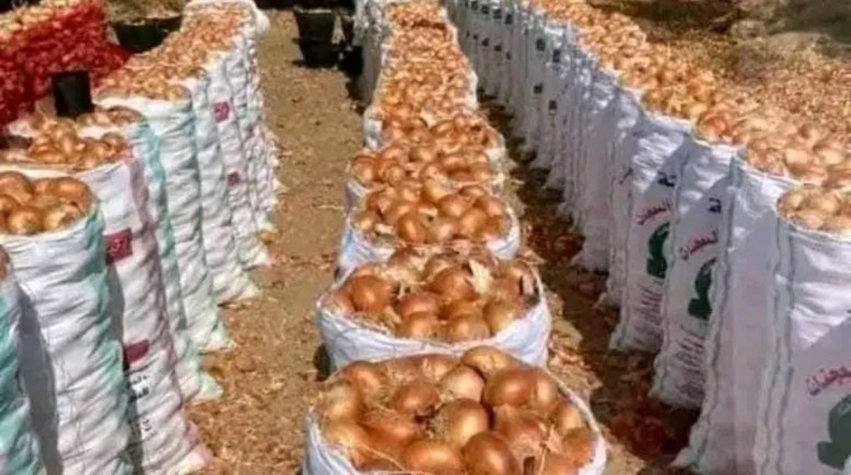  كواليس غلق مصنع تجفيف البصل في سوهاج 