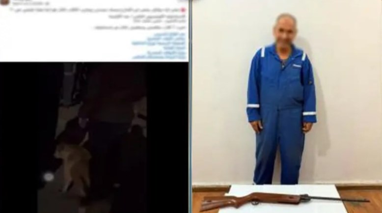 المتهم