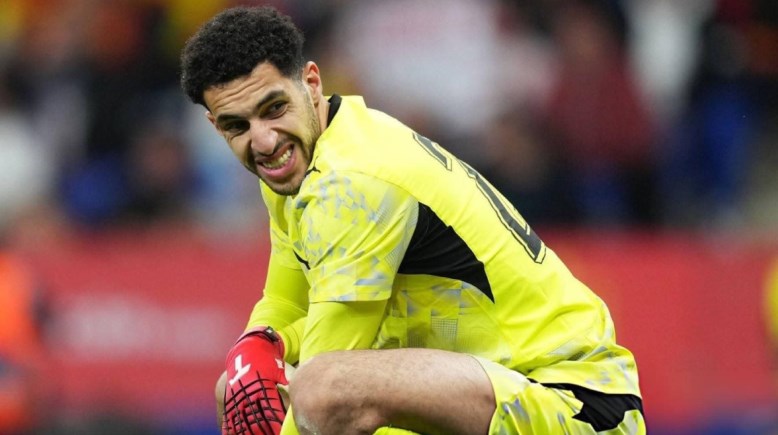 مصطفى شوبير