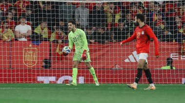 مصطفى شوبير