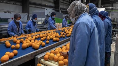  النائب إسلام قرطام عضو مجلس النواب