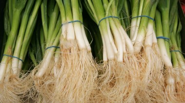 أسعار البصل الأخضر